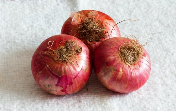 cutting-onions-eye-protection-hack