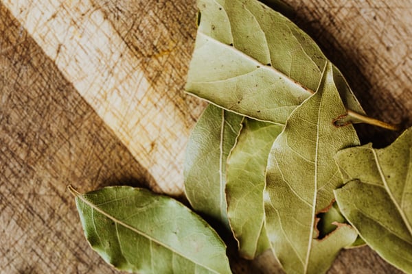 keep-herbs-fresh-bay-leaves