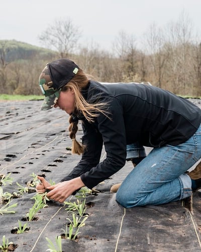 woman tending crops