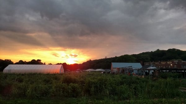 waltham-mass-farm-share